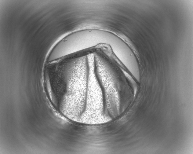 X0000065260904200603172227