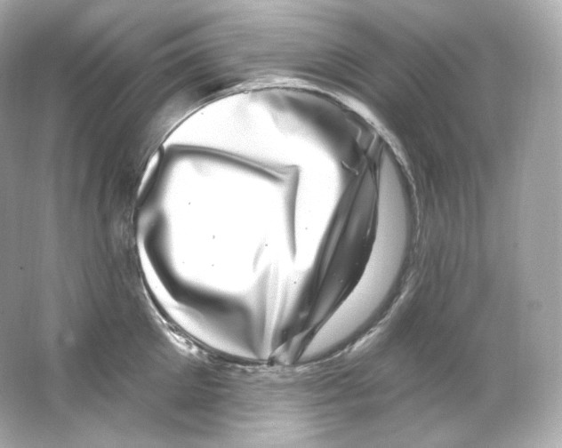 X0000065260905200603172227