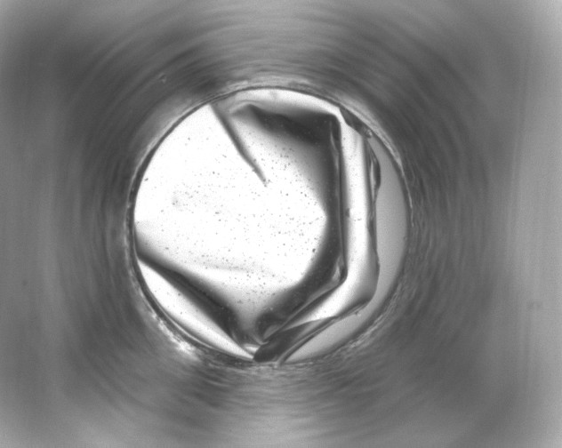 X0000065260906200603172227