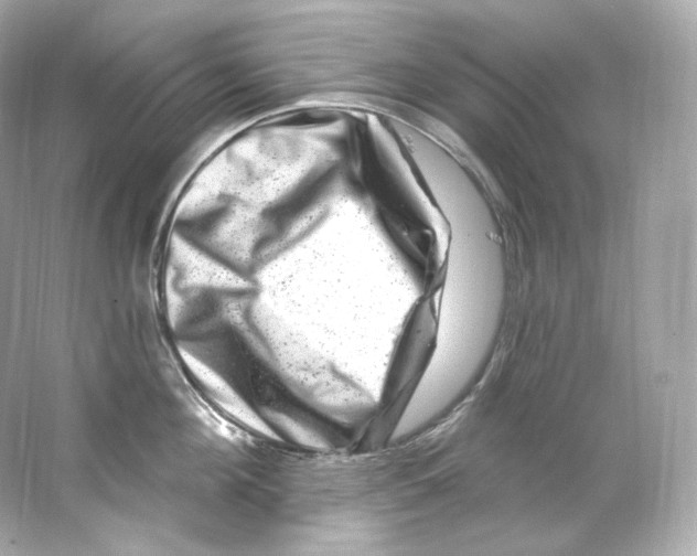 X0000065260908200603172227