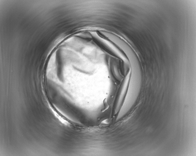 X0000065260909200603172227