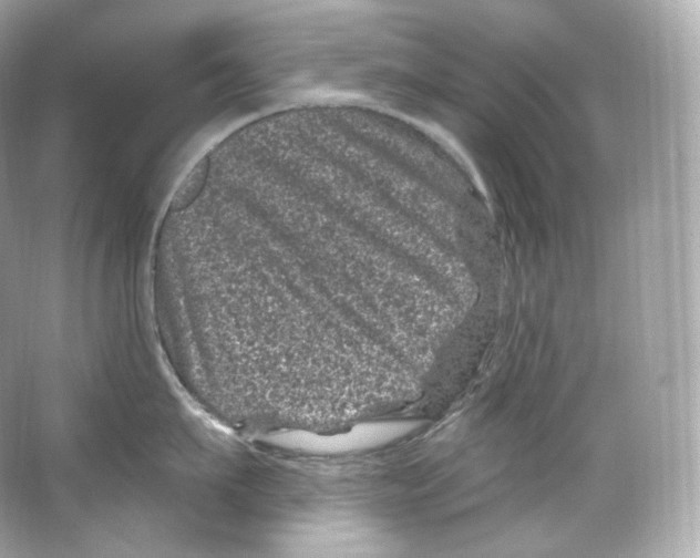 X0000065260911200603172227