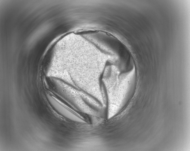 X0000065260912200603172227