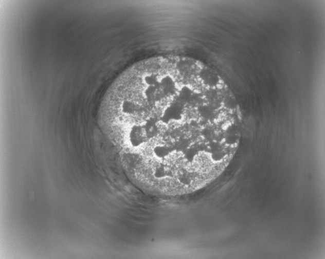 X0000065260913200603172226