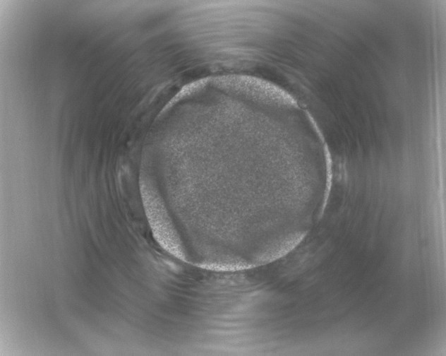 X0000065260915200603172226