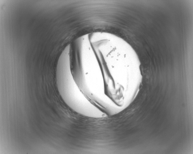 X0000065260916200603172226