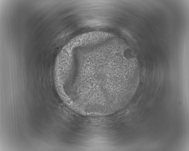 X0000065260917200603172226