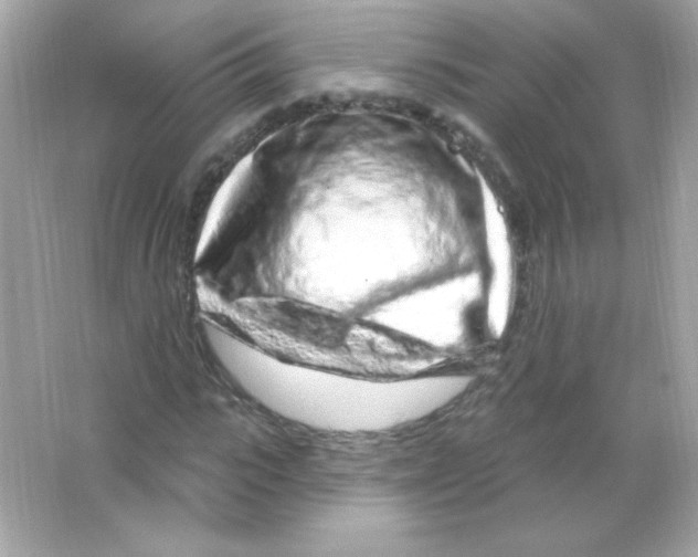 X0000065260919200603172226