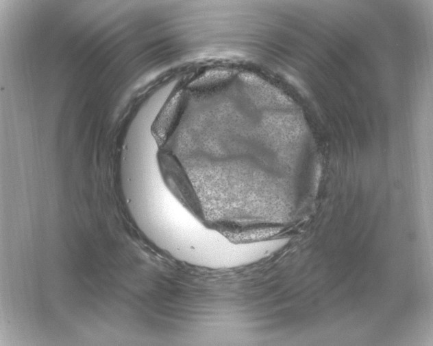 X0000065260920200603172226