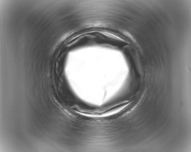 X0000065260922200603172226