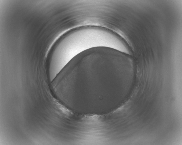 X0000065260926200603172226