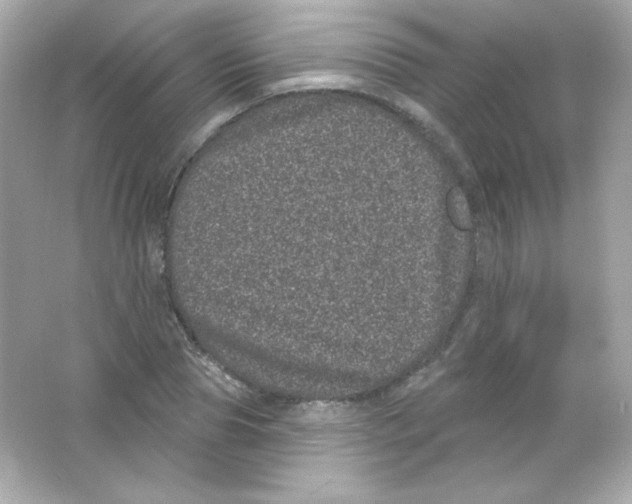 X0000065260929200603172226