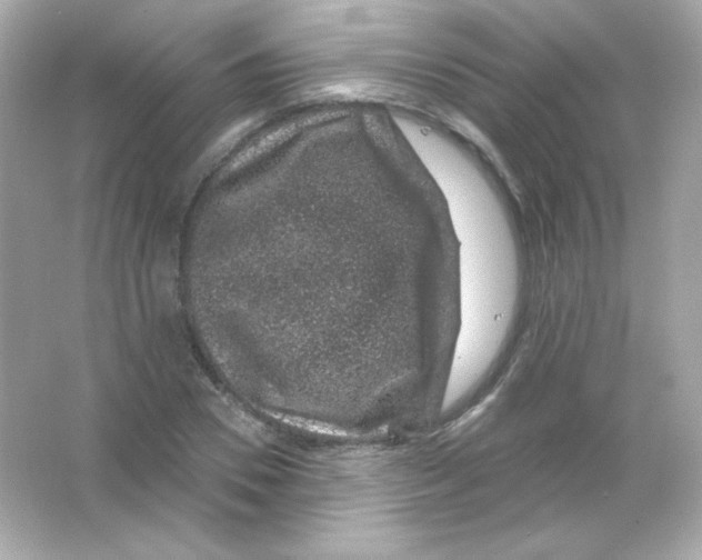 X0000065260930200603172226