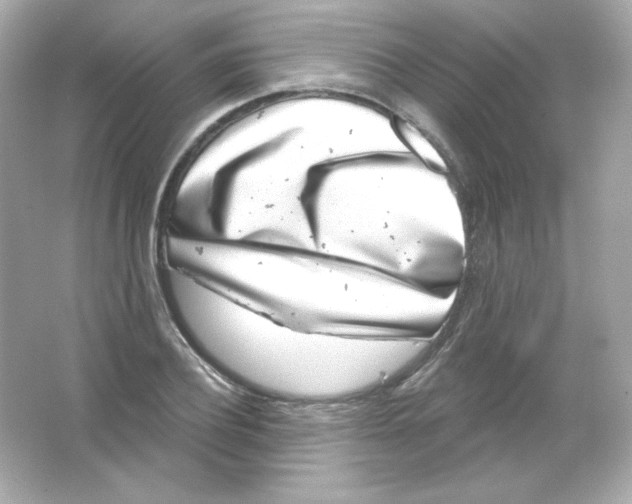 X0000065260932200603172226