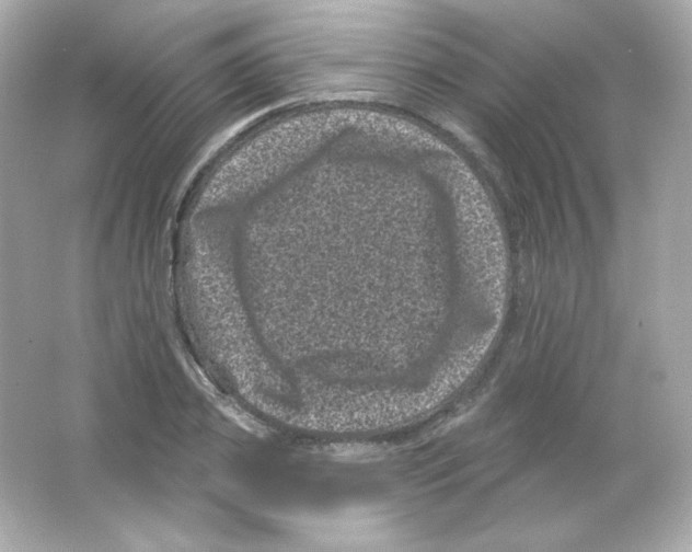 X0000065260933200603172227