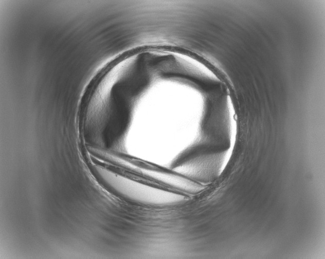 X0000065260935200603172227