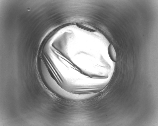 X0000065260936200603172227