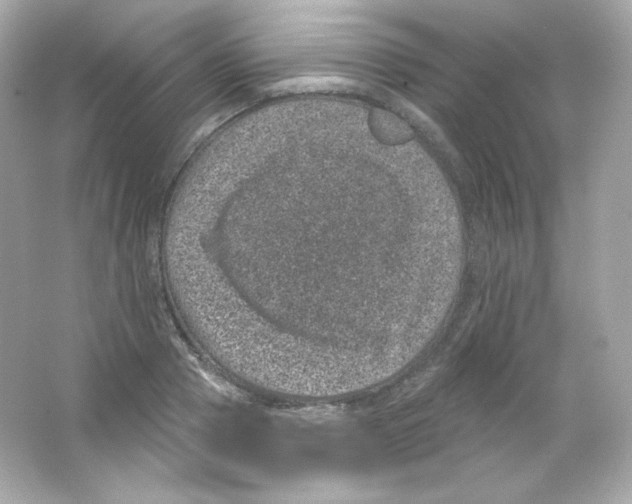 X0000065260937200603172227