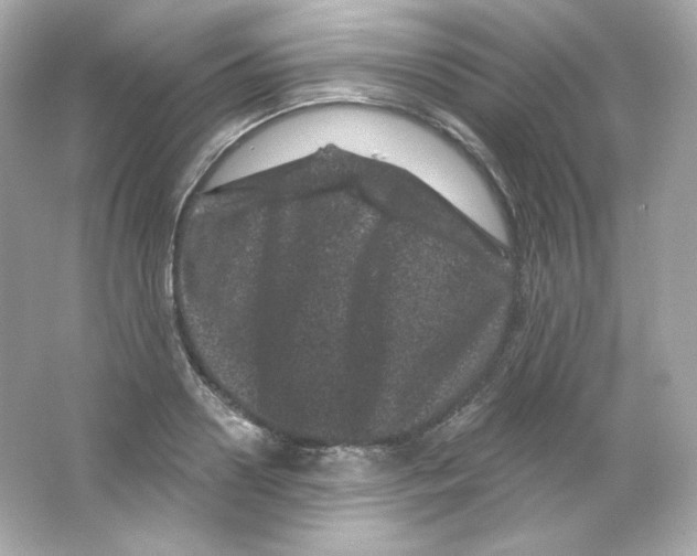 X0000065260938200603172227