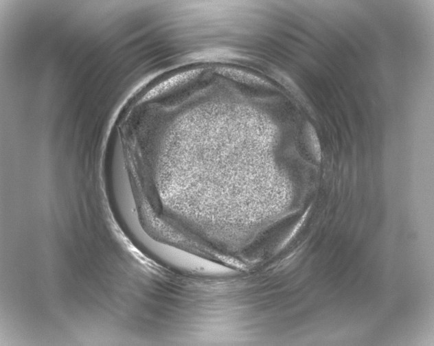 X0000065260939200603172227