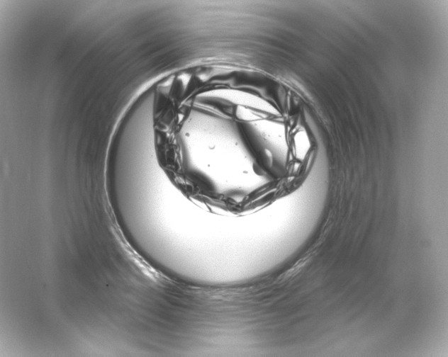 X0000065260940200603172227