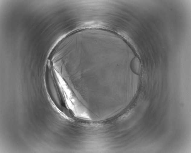 X0000065260941200603172227