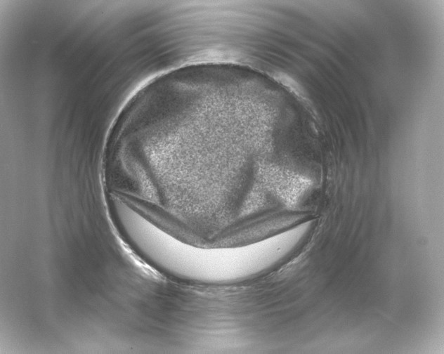 X0000065260942200603172227