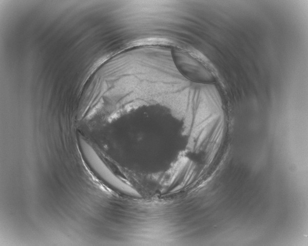 X0000065260945200603172227