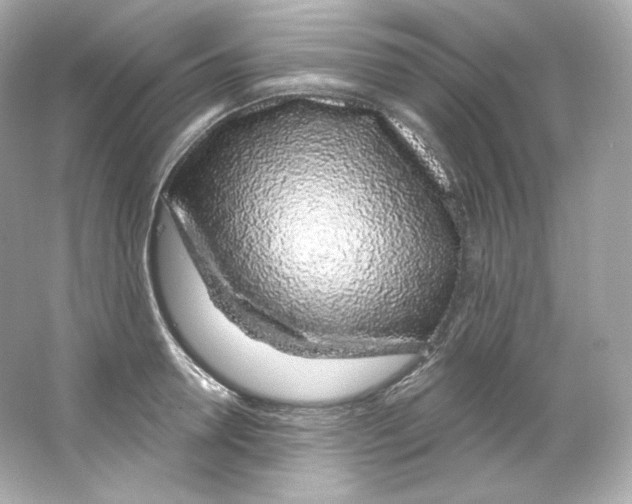 X0000065260946200603172227