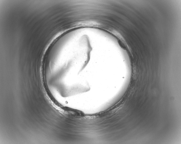 X0000065260947200603172227