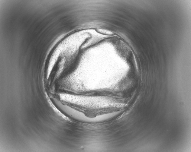 X0000065260949200603172227