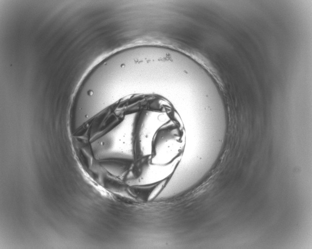 X0000065260950200603172227