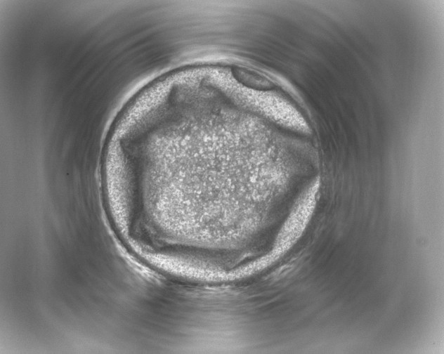 X0000065260951200603172227