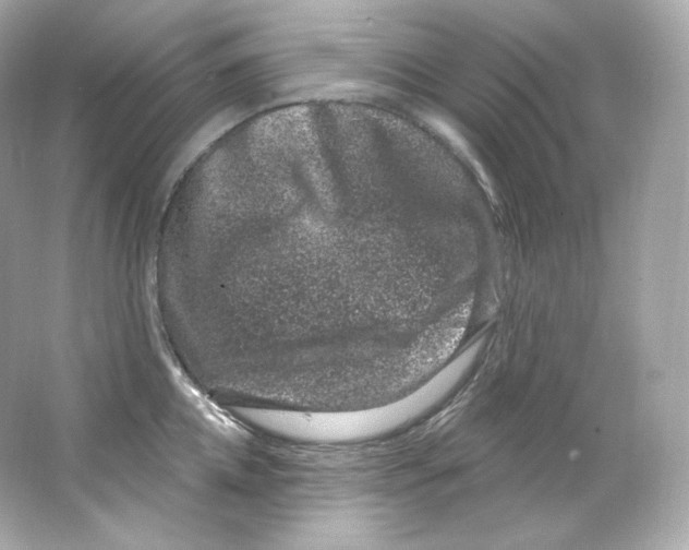 X0000065260952200603172227