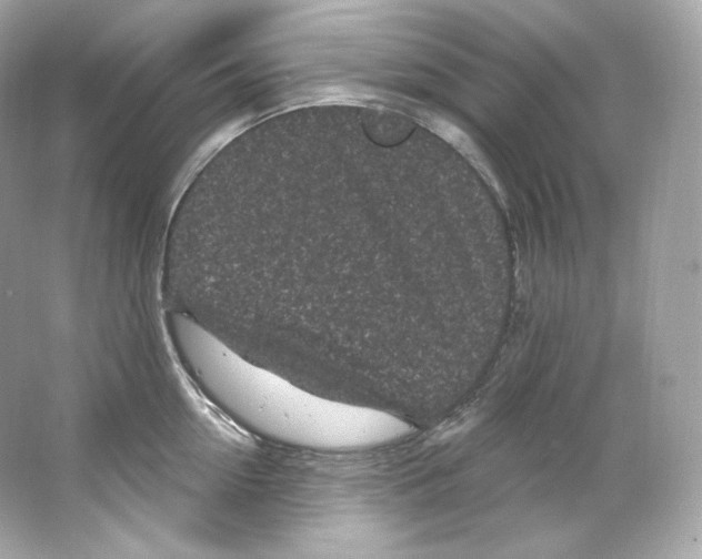 X0000065260954200603172227