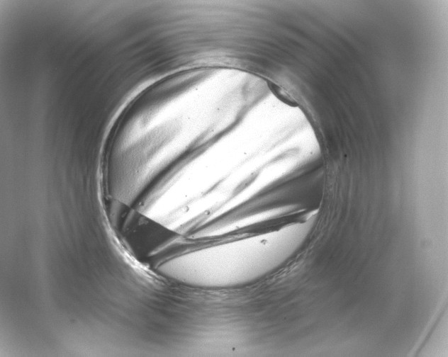 X0000065260955200603172227