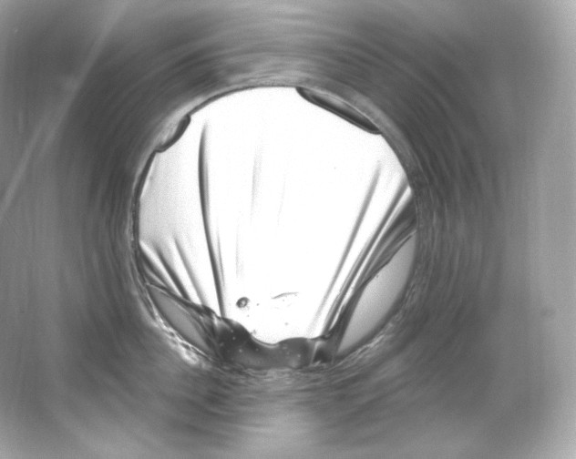 X0000065260956200603172227