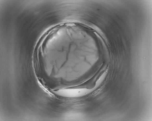 X0000065260958200603172227