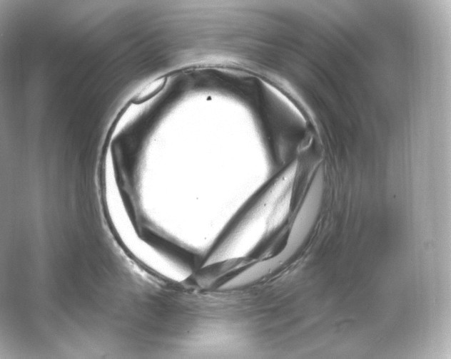 X0000065260959200603172227