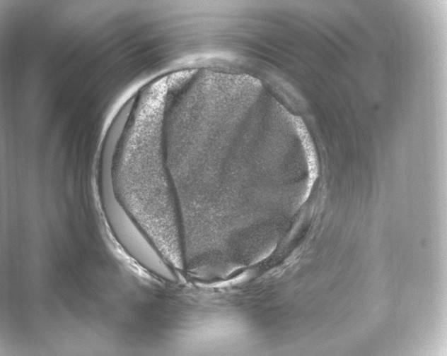 X0000065260960200603172227