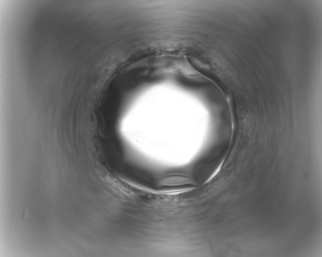 X0000065260961200603172226