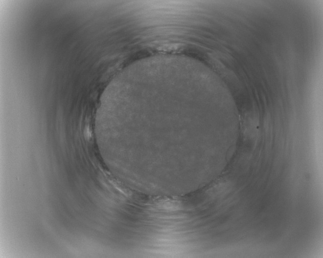 X0000065260962200603172226