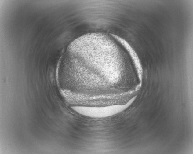 X0000065260963200603172226