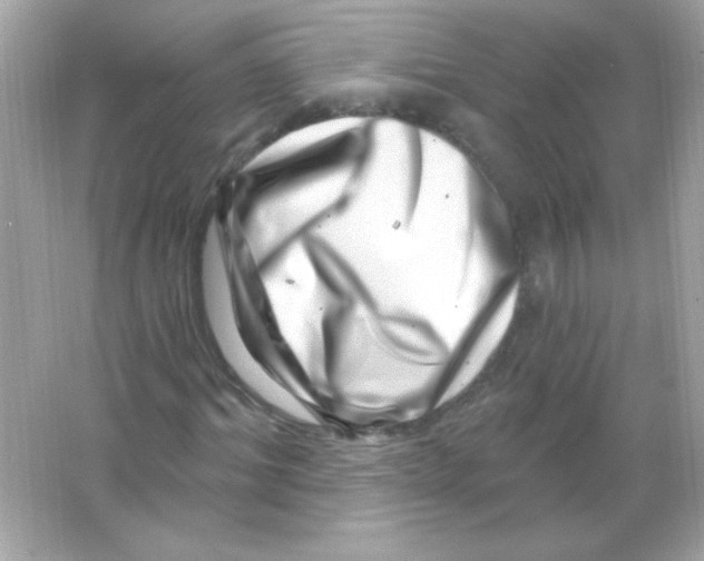 X0000065260964200603172226