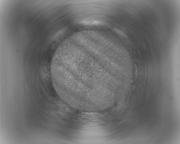 X0000065260966200603172226