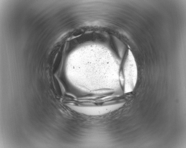 X0000065260968200603172226