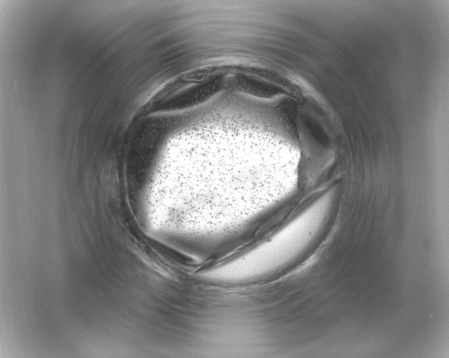 X0000065260969200603172226