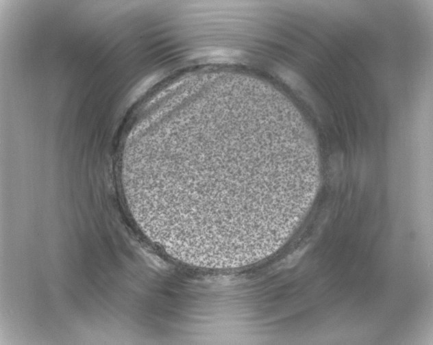 X0000065260970200603172226