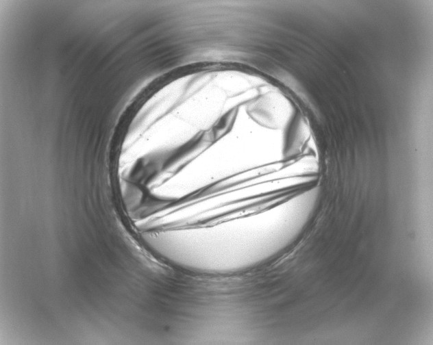 X0000065260972200603172226