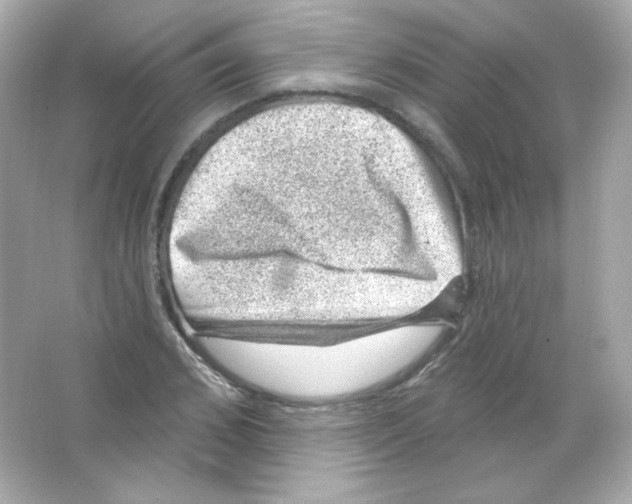 X0000065260976200603172226